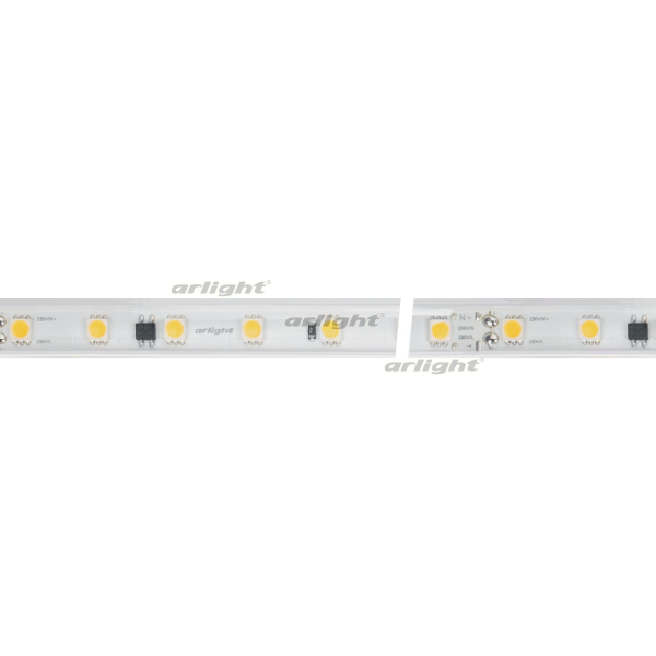 Миниатюра - Лента ARL-PV-B54-15.5mm 230V White6000 (8 W/m, IP65, 5060, 50m) (Arlight, 8 Вт/м, IP65) 027056(2)